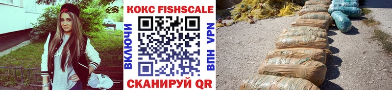 Купить закладки  Тында  Кокаин 97% 