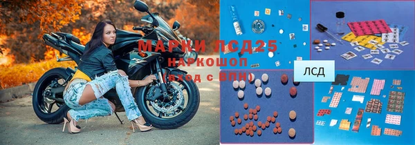 прущие грибы Медвежьегорск