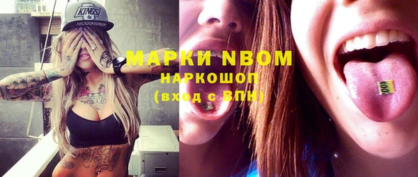 прущие грибы Медвежьегорск