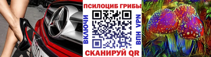 Купить  Тында  Галлюциногенные грибы ЛСД 